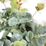 zoom nas folhas e galhos do buquê de eucalipto verde artificial para arranjos florais e decoração verde