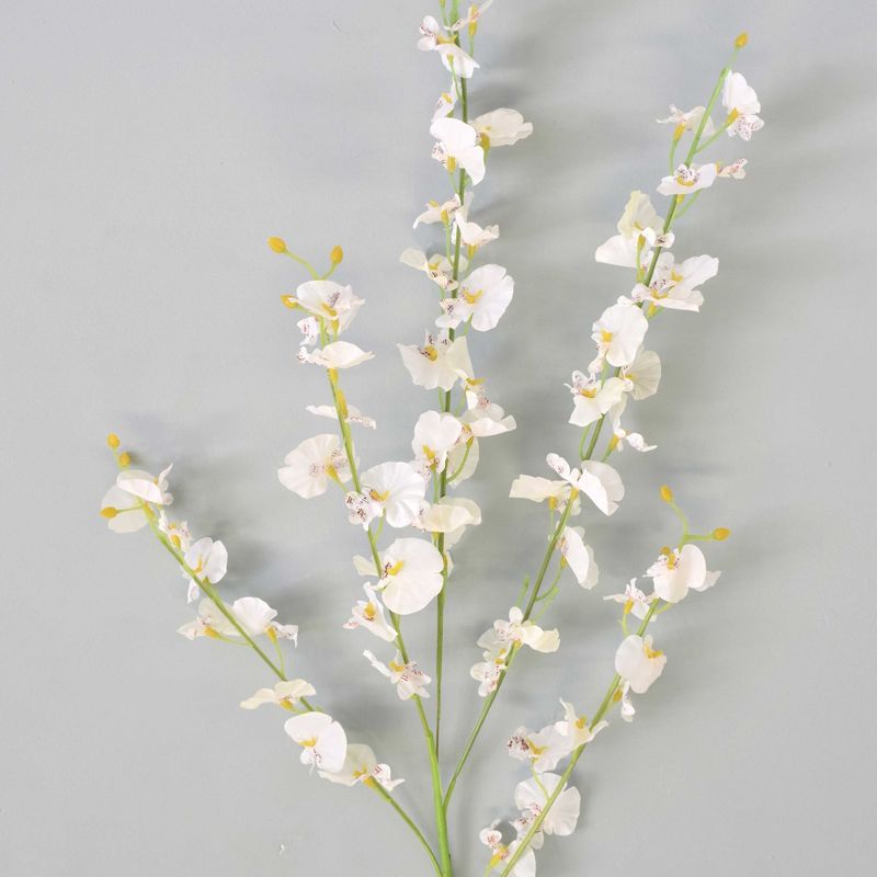 Foco aproximado do buque de orquidea chuva de prata branca em fundo azul