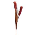 No centro, ramalhete de plumas na cor marsala em fundo branco