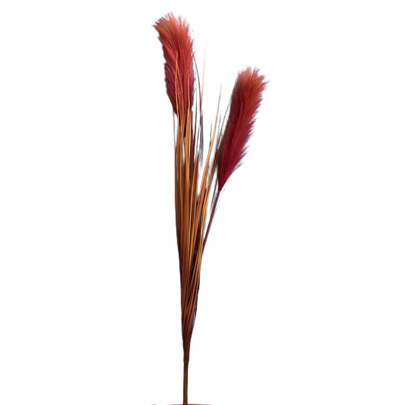 No centro, ramalhete de plumas na cor marsala em fundo branco