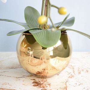 Vaso de Flores de Vidro Redondo Dourado - 17 Cm