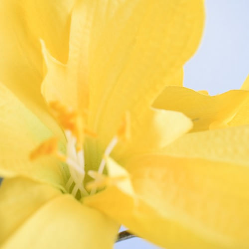 No centro, foco aproximado e detalhado do miolo da flor de amarilis amarela artificial