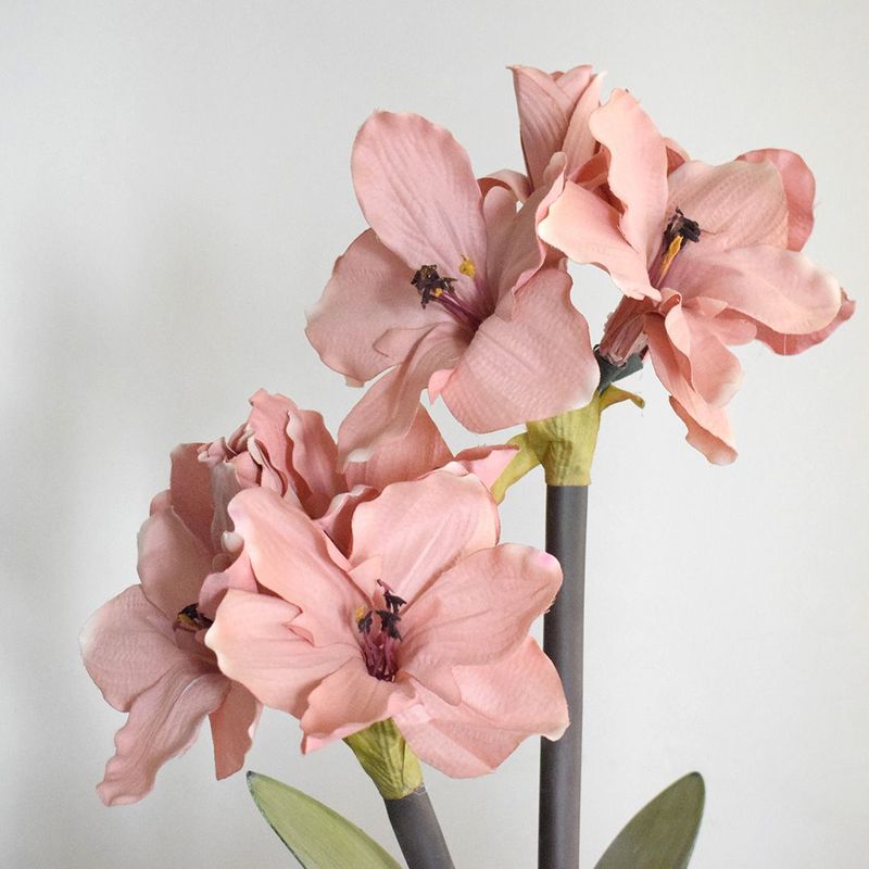 No centro, foco aproximado e detalhado das flores artificiais de amarilis rose em fundo branco
