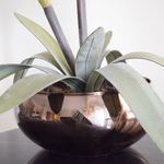 No centro, foco aproximado da lateral do vaso lagoon em vidro espelhado bronze com folhas artificiais de orquidea apoiado sobre mesa preta em fundo branco