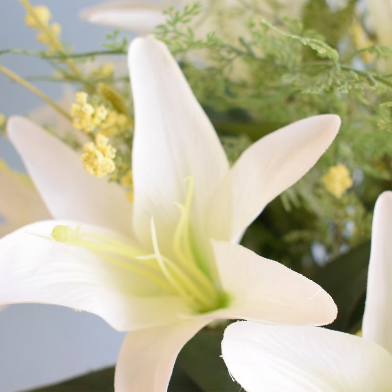 Foco aproximado e detalhado da flor de lirio branco