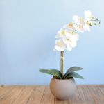 Lado direito, arranjo artificial de orquideas brancas com folhagem verde no vaso redondo fendi fosco em fundo azul