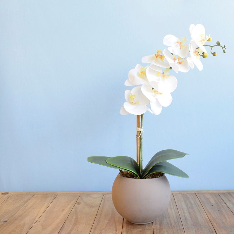 Lado direito, arranjo artificial de orquideas brancas com folhagem verde no vaso redondo fendi fosco em fundo azul