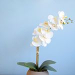 No centro, foco aproximado da haste de orquidea artificial branca com folhagem verde em fundo azul