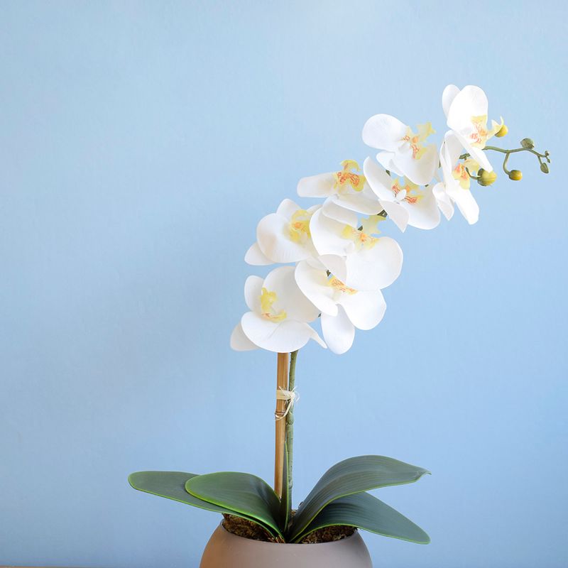 No centro, foco aproximado da haste de orquidea artificial branca com folhagem verde em fundo azul