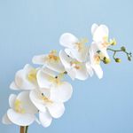 Foco aproximado e detalhado das flores e botoes artificiais da orquidea branca em fundo azul