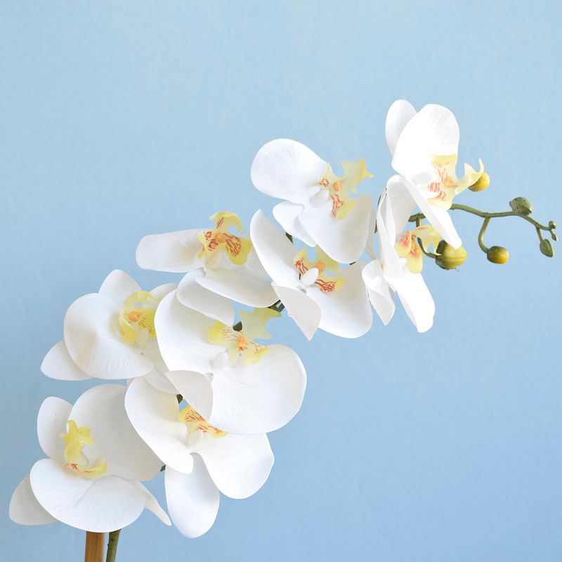 Foco aproximado e detalhado das flores e botoes artificiais da orquidea branca em fundo azul