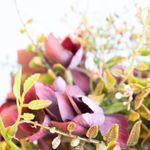Foco aproximado e detalhado do arranjo  de rosas marsala e folhagem verde em fundo branco.