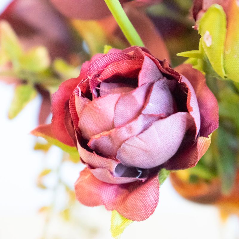 No centro, foco aproximado e detalhado das pétalas da flor de rosa marsala