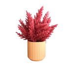 No centro, arranjo de flores secas na cor pink em vaso canelado areia em fundo branco