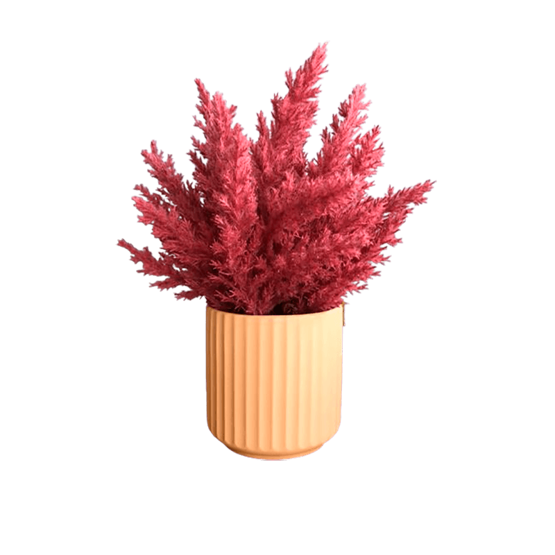 No centro, arranjo de flores secas na cor pink em vaso canelado areia em fundo branco