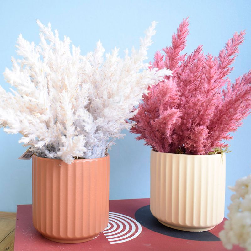 No centro, dois arranjo de flores secas um na cor pink outro branco em vasos canelados na cor areia e terracota apoiados sobre caixa livro em fundo azul