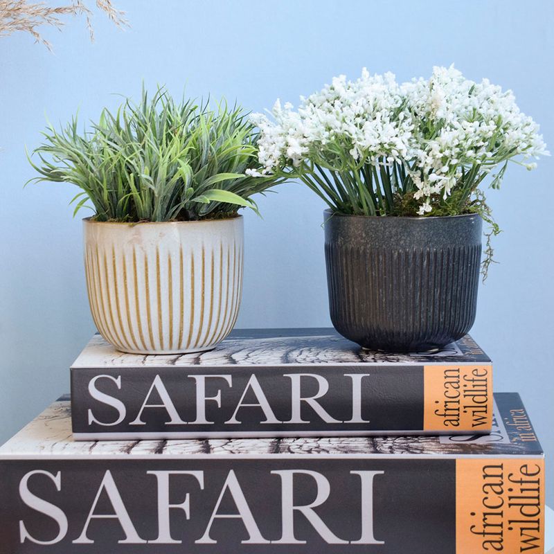Mini cena. No centro, dois arranjo de folhagem tipo capim e semestinhas brancas nos vasos de ceramica off-write e preto apoiados sobre caixas livros em fundo azul