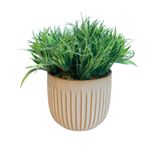 No centro, arranjo de folhagem tipo capim no vaso de ceramica off-write em fundo branco