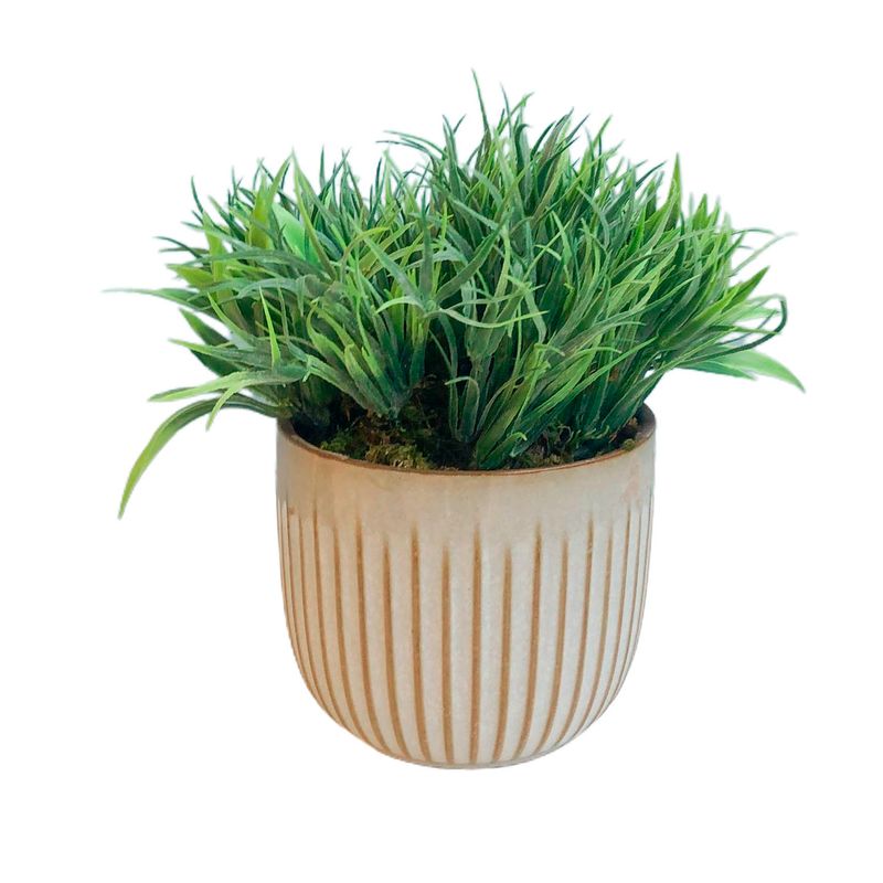 No centro, arranjo de folhagem tipo capim no vaso de ceramica off-write em fundo branco