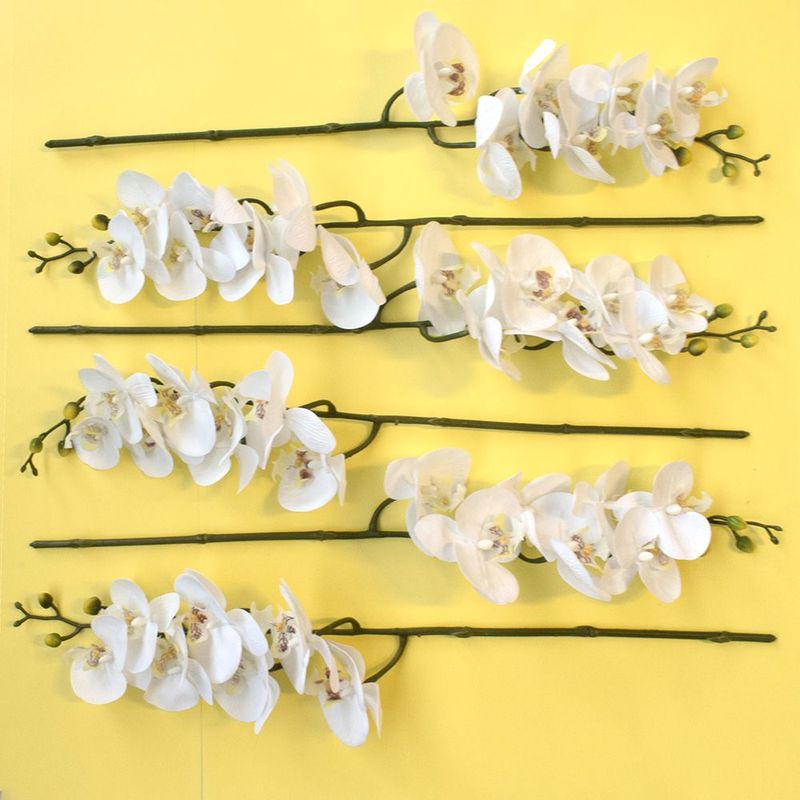 No centro, 6 hastes de orquideas brancas na horizontal uma para cada lado em fundo amarelo