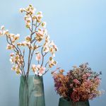 Lado esquerdo, haste de flor de cerejeira rosa claro em vaso de vidro canelado. Lado direito, buque de sementinha em vaso de vidro canelado. Itens em fundo azul