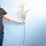 No centro, mão esquerda segurando haste de flor de cerejeira rosa claro em fundo azul