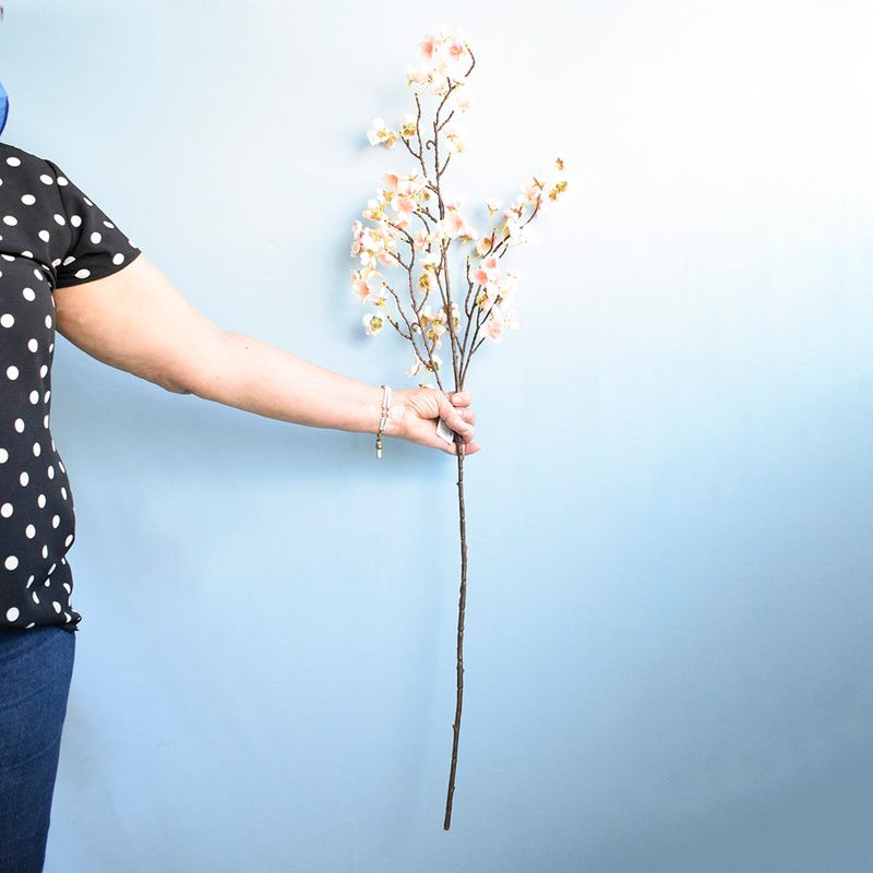 No centro, mão esquerda segurando haste de flor de cerejeira rosa claro em fundo azul