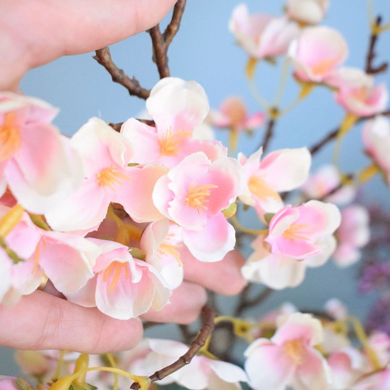 No centro, foco aproximado e detalhado dos buquês de  flor de cerejeira rosa claro no galho em fundo azul