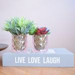 No centro, lado esquerdo dois arranjos de folhagem verde e suculenta em tom de vermelho ambos em vasod e vidro transparente sextavado sobre caixa livro cinza com tipografia branca "live love laugh" apoiado sobre mesa de madeira em fundo rose
