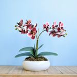 No centro, arranjo artificial de orquidea com 2 hastes na cor marsala em vaso de ceramica branca tipo bacia apoiado sobre mesa de madeira em fundo azul