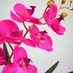 No centro, 4 flores do arranjo de orquidea pink 3D em fundo azul.
