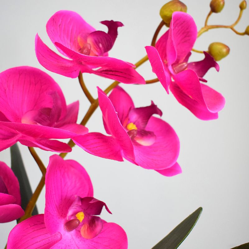No centro, 4 flores do arranjo de orquidea pink 3D em fundo azul.