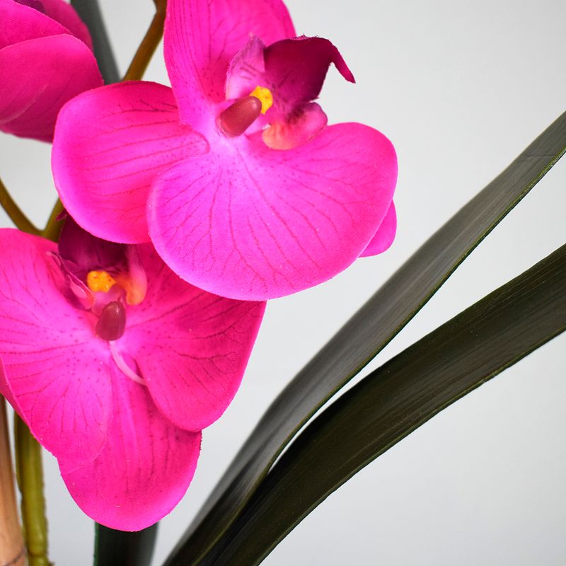 Lado esquerdo, foco aproximado e detalhado de duas flores de orquidea artificial pink 3D. Lado direito, duas folhas verdes do arranjo. Ambos em fundo azul