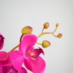 Na canto inferior esquerdo, foco detalhado de uma flor de orquidea pink com 5 botoes em fundo azul