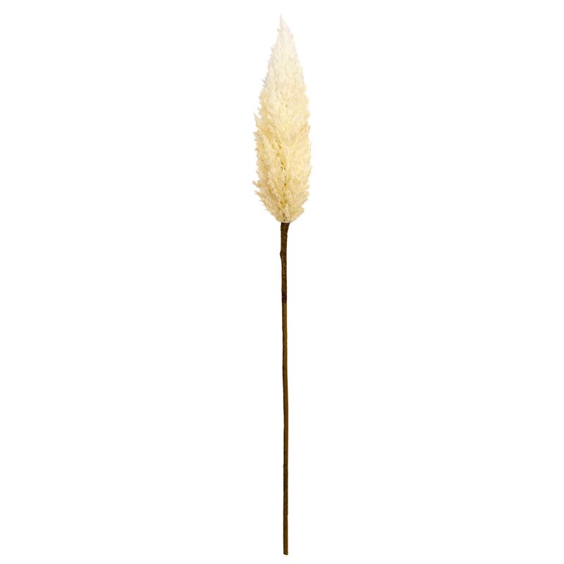 No centro, haste de folhagem do campo creme com efeito envelhecido em fundo branco