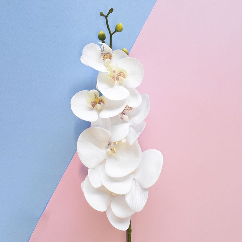 Foco nas flores de orquídea artificial branca em fundo geométrico azul e rosa