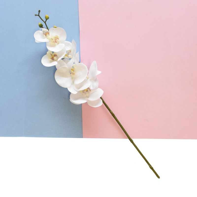 Foco nas flores de orquídea artificial branca em fundo geométrico azul, rosa e branco