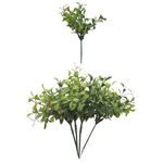 Uma unidade do buquê de folhagem peperômia pequena e verde na parte superior e outros 4 buquês agrupados na parte inferior em fundo branco.
