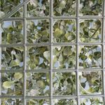 Imagem da tela quadriculada da placa de grama artificial verde