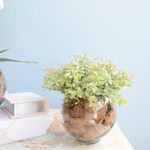 Do lado esquerdo caixa livro. Do lado direito, arranjo de peperomia artificial em vaso redondo de vidro transparente preenchido com casca de pinus. Itens apoiados sobre mesa efeito marmore em fundo azul