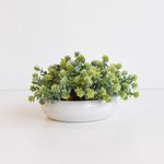 1007767-arranjo-baixo-floral-folhagem-artificial-com-peperomia-verde-vaso-branco-mesa-de-centro-decoracao-formosinha--2-