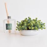 1007767-arranjo-baixo-floral-folhagem-artificial-com-peperomia-verde-vaso-branco-mesa-de-centro-decoracao-formosinha--5-