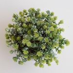 1007767-arranjo-baixo-floral-folhagem-artificial-com-peperomia-verde-vaso-branco-mesa-de-centro-decoracao-formosinha--9-