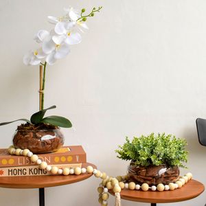 Arranjo de Orquídea Branca Artificial no Vaso de Vidro Achatado | Arranjos Formosinha